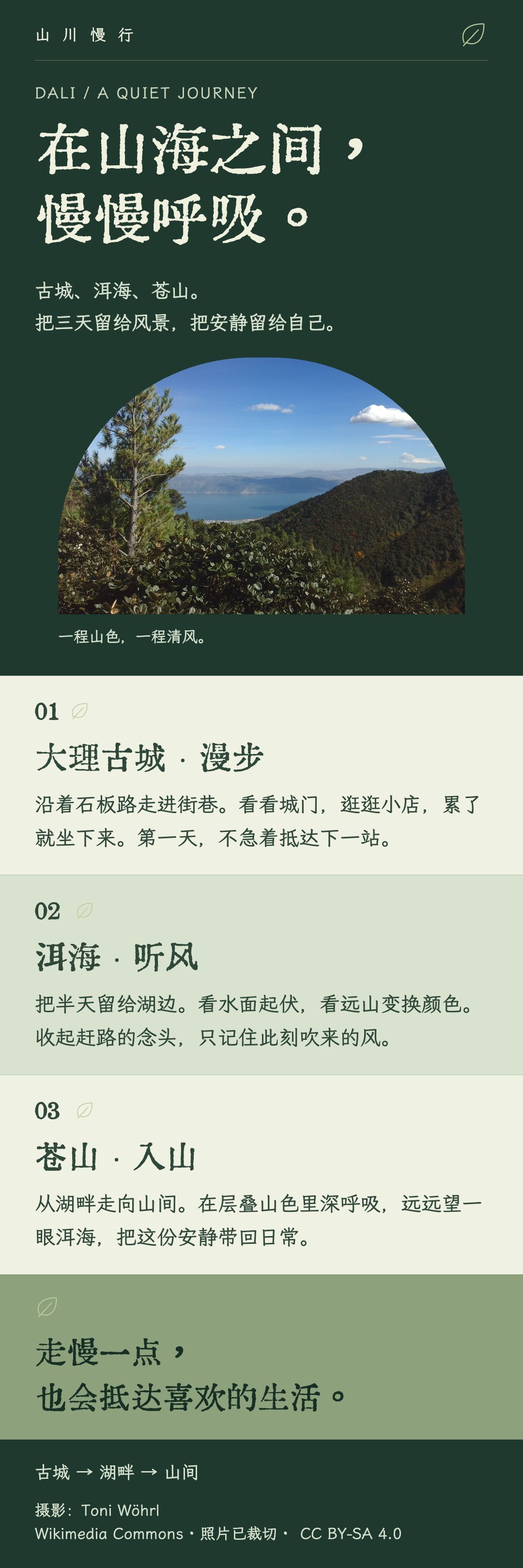 自然植物风格